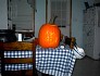 dsc00002.jpg